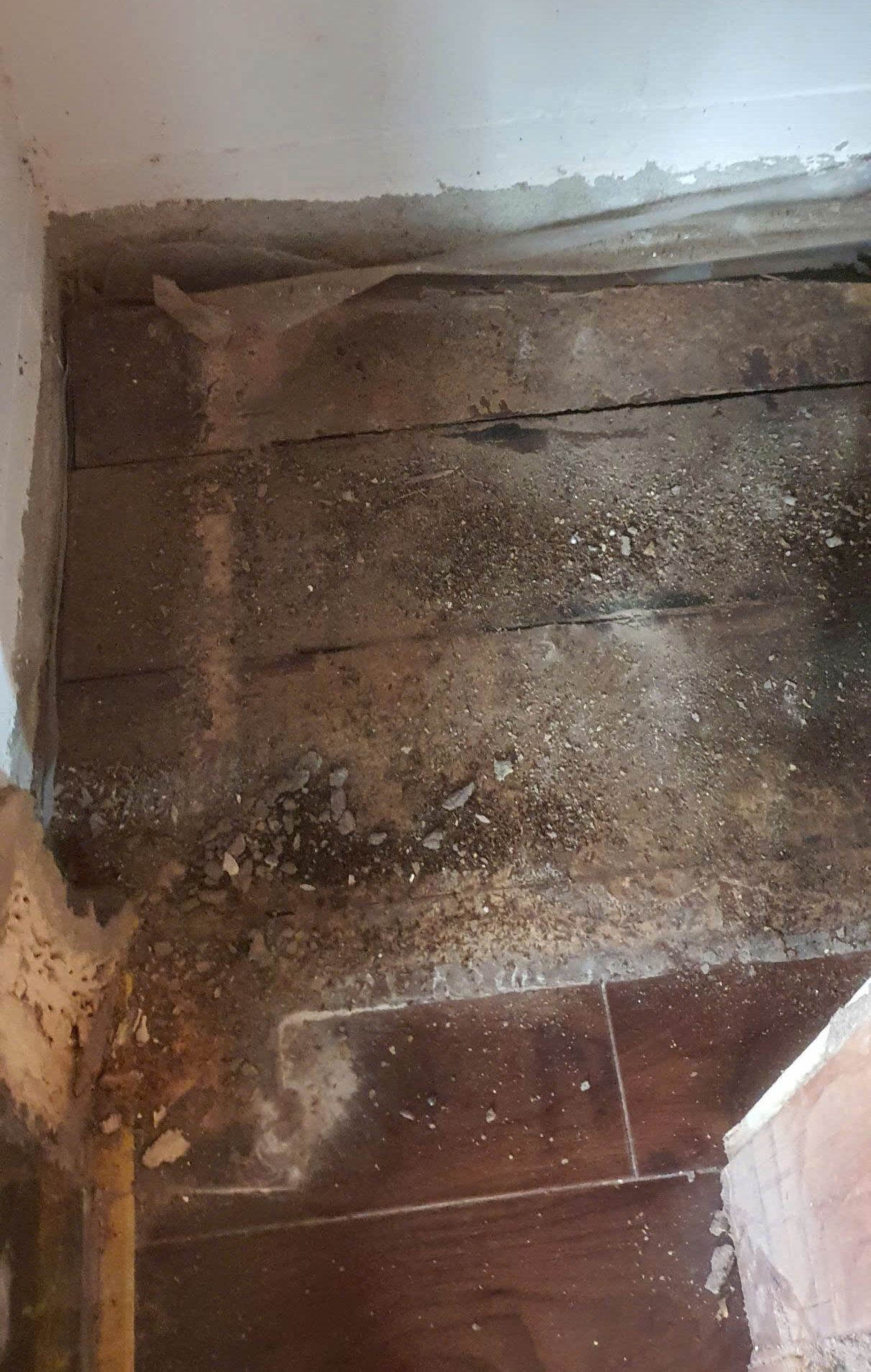 Thợ của Trần Anh đang xử lý sàn mỗi mọt cho khách