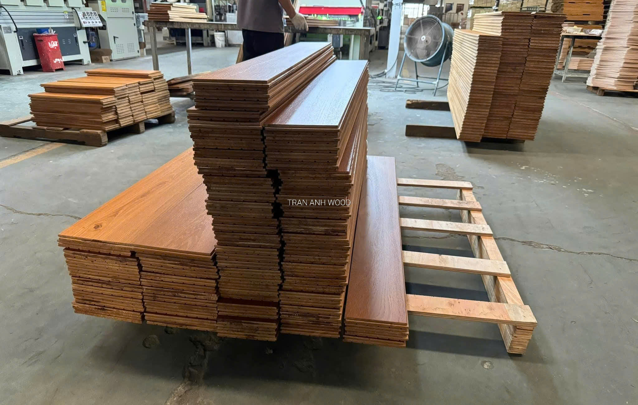 Xưởng sản xuất và nguyên liệu tại nhà máy Trần Anh Wood
